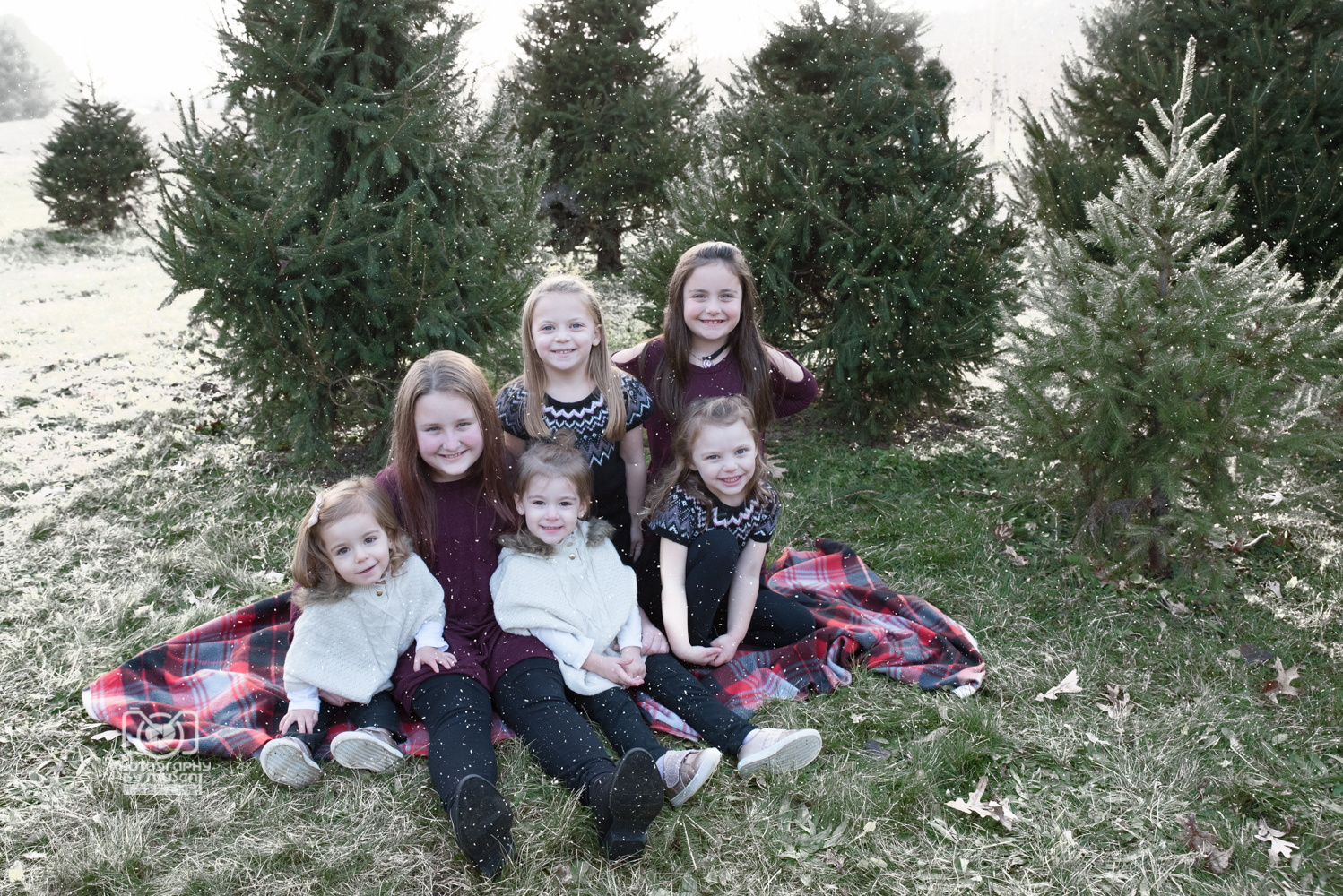 Christmas Tree Farm Extended Family (1)