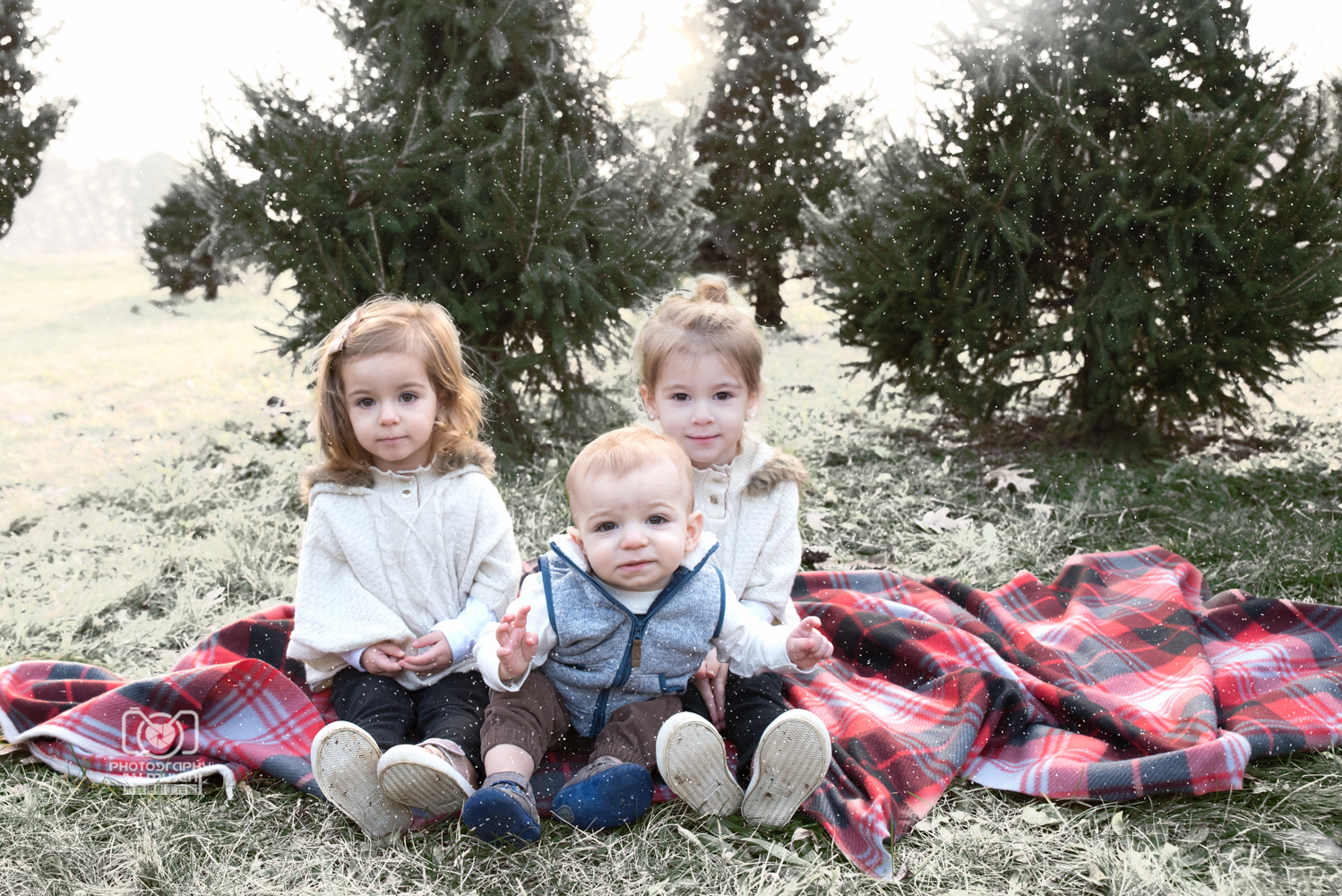 Christmas Tree Farm Extended Family (10)