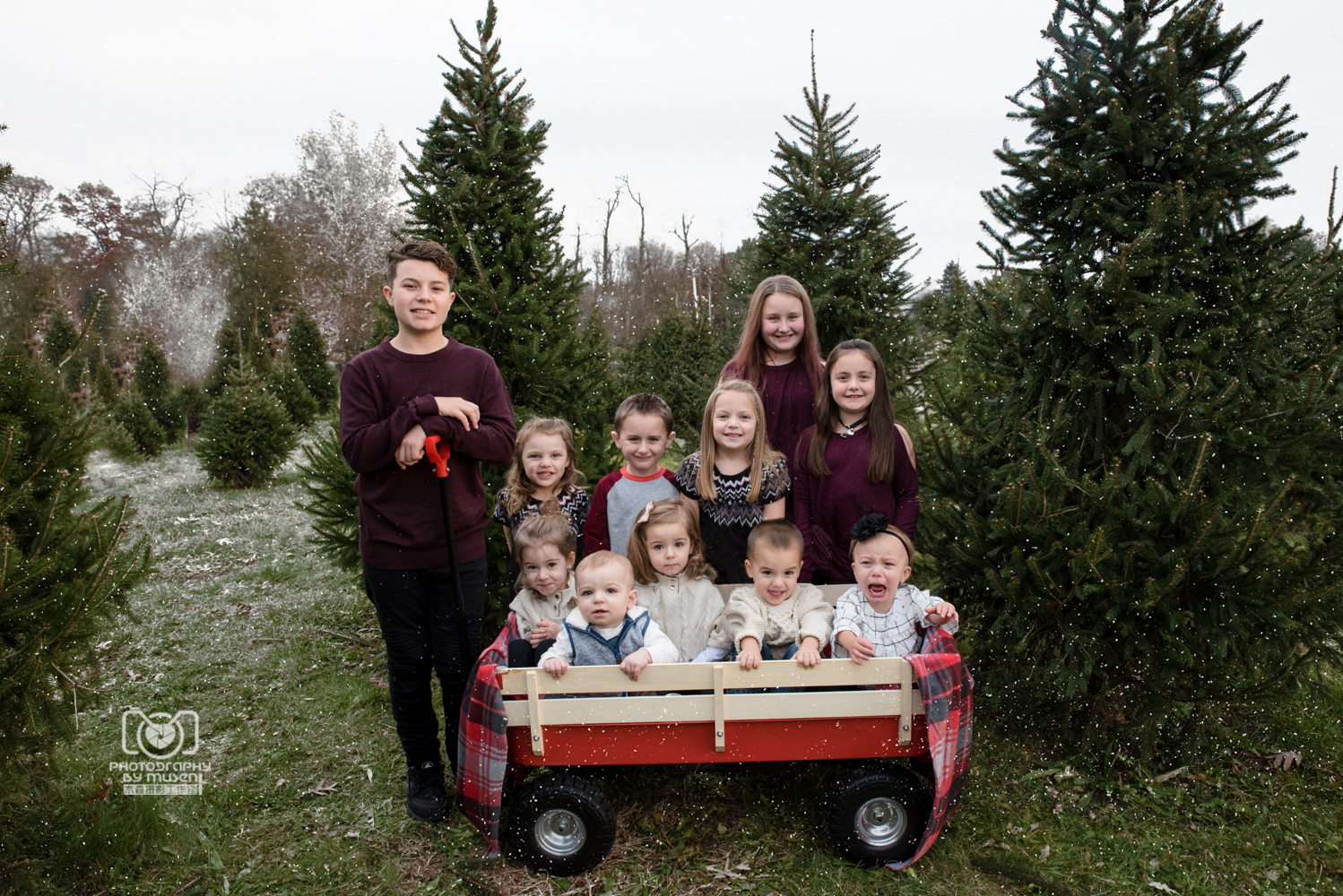 Christmas Tree Farm Extended Family (2)