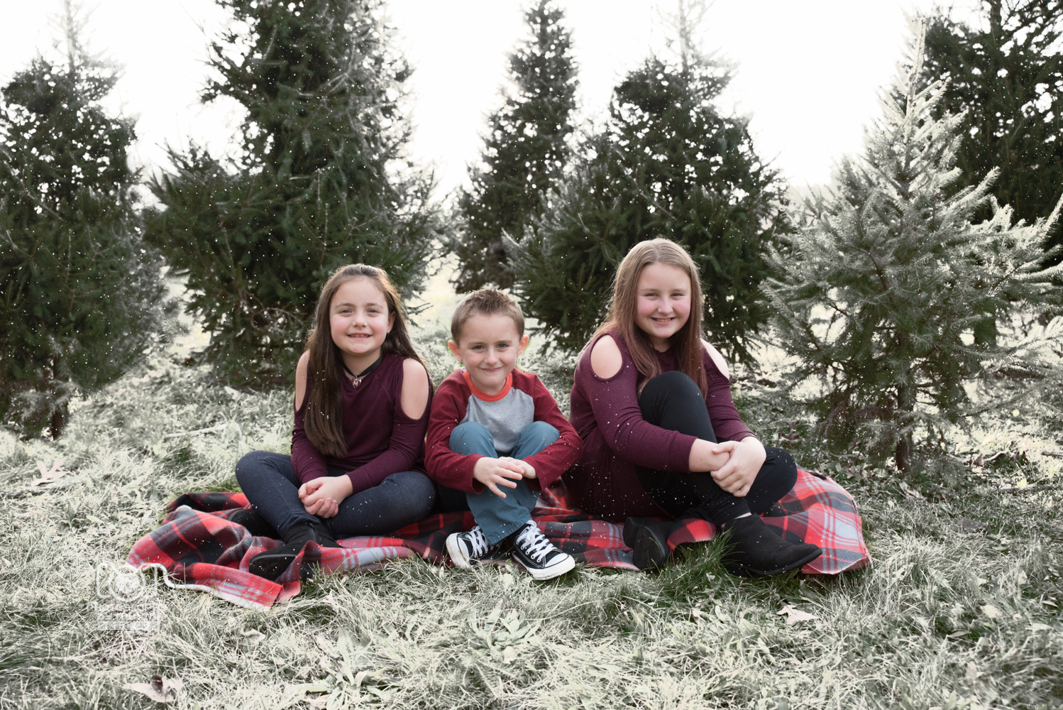 Christmas Tree Farm Extended Family (5)