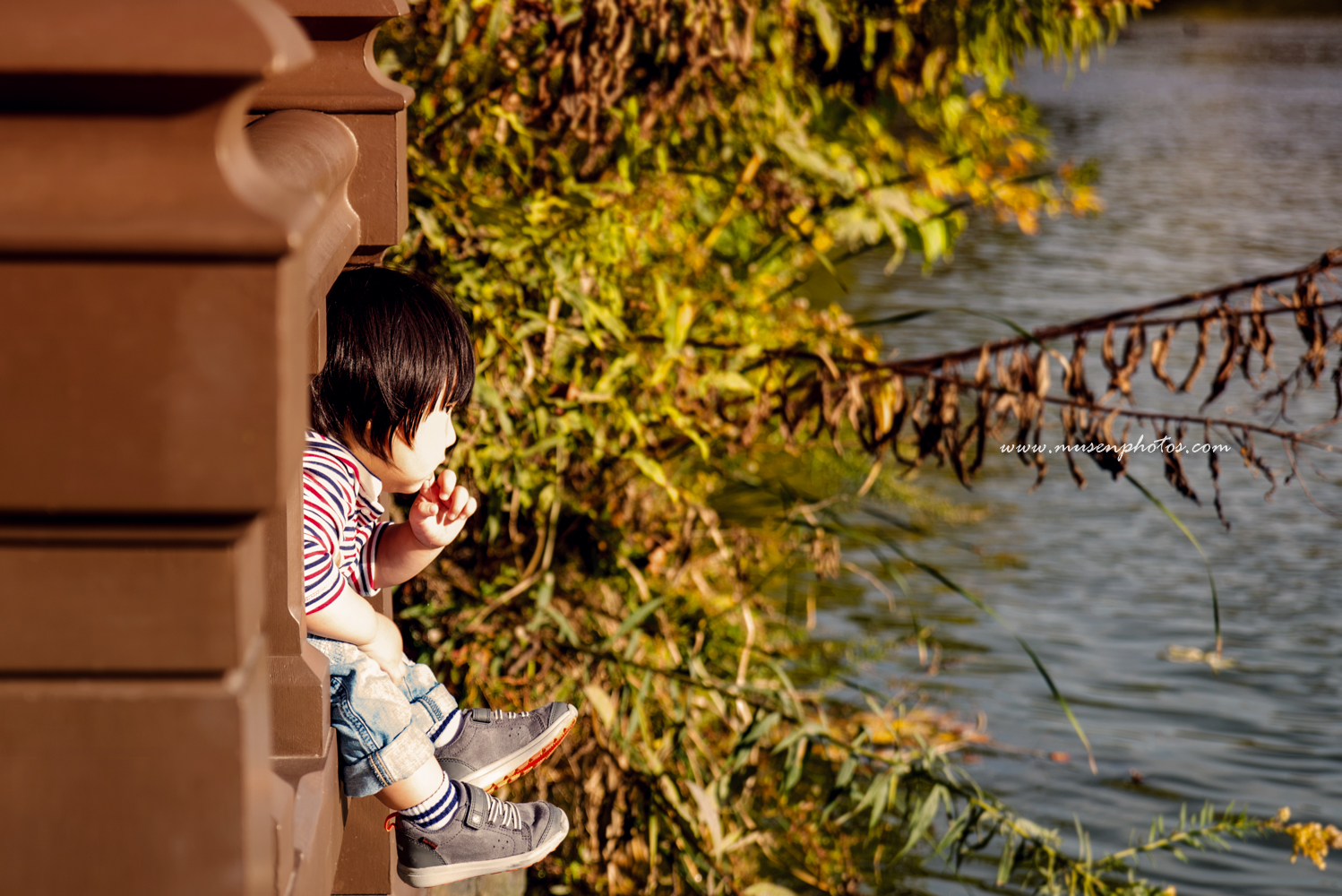 Mid Autumn Central Park (4)