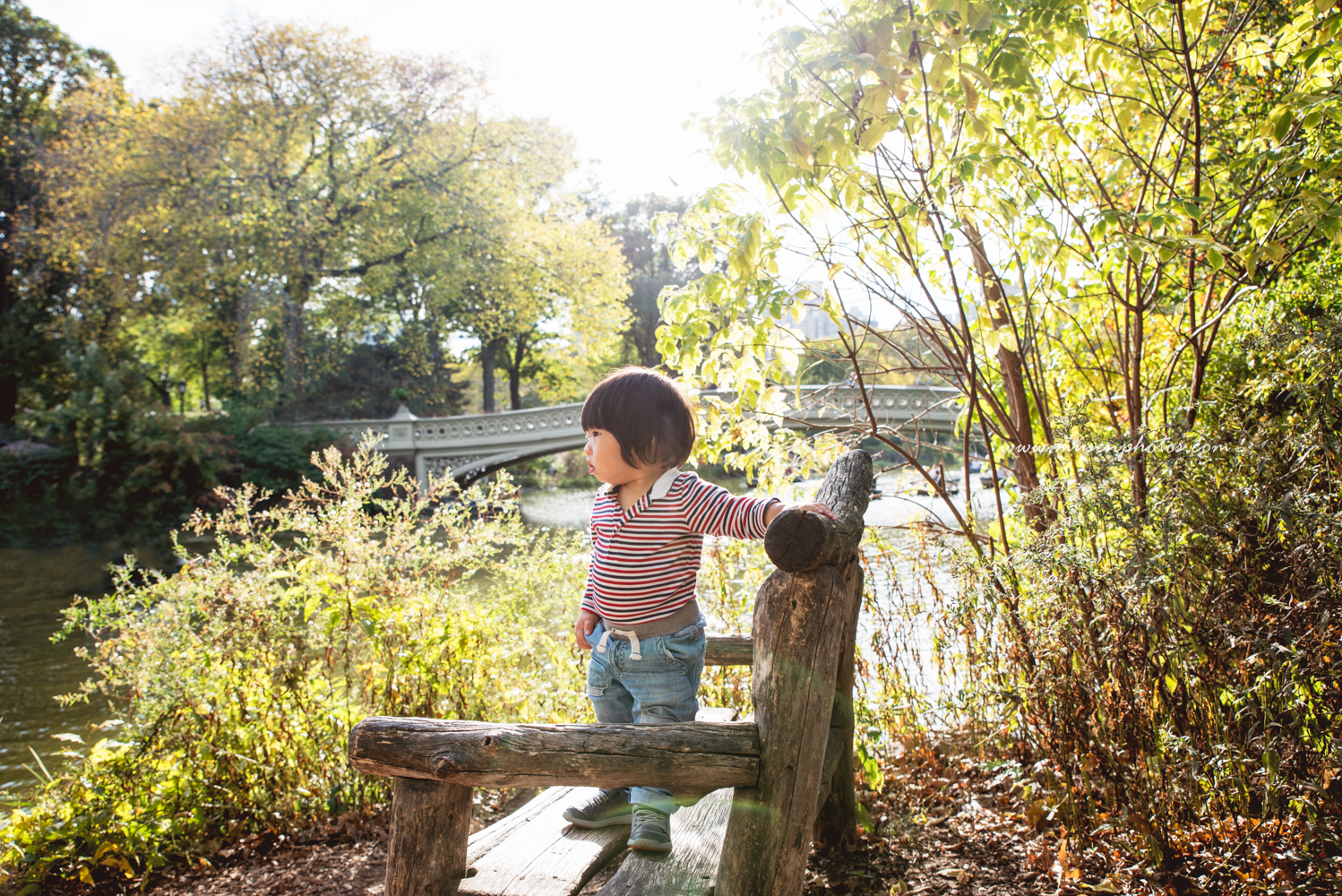 Mid Autumn Central Park (5)