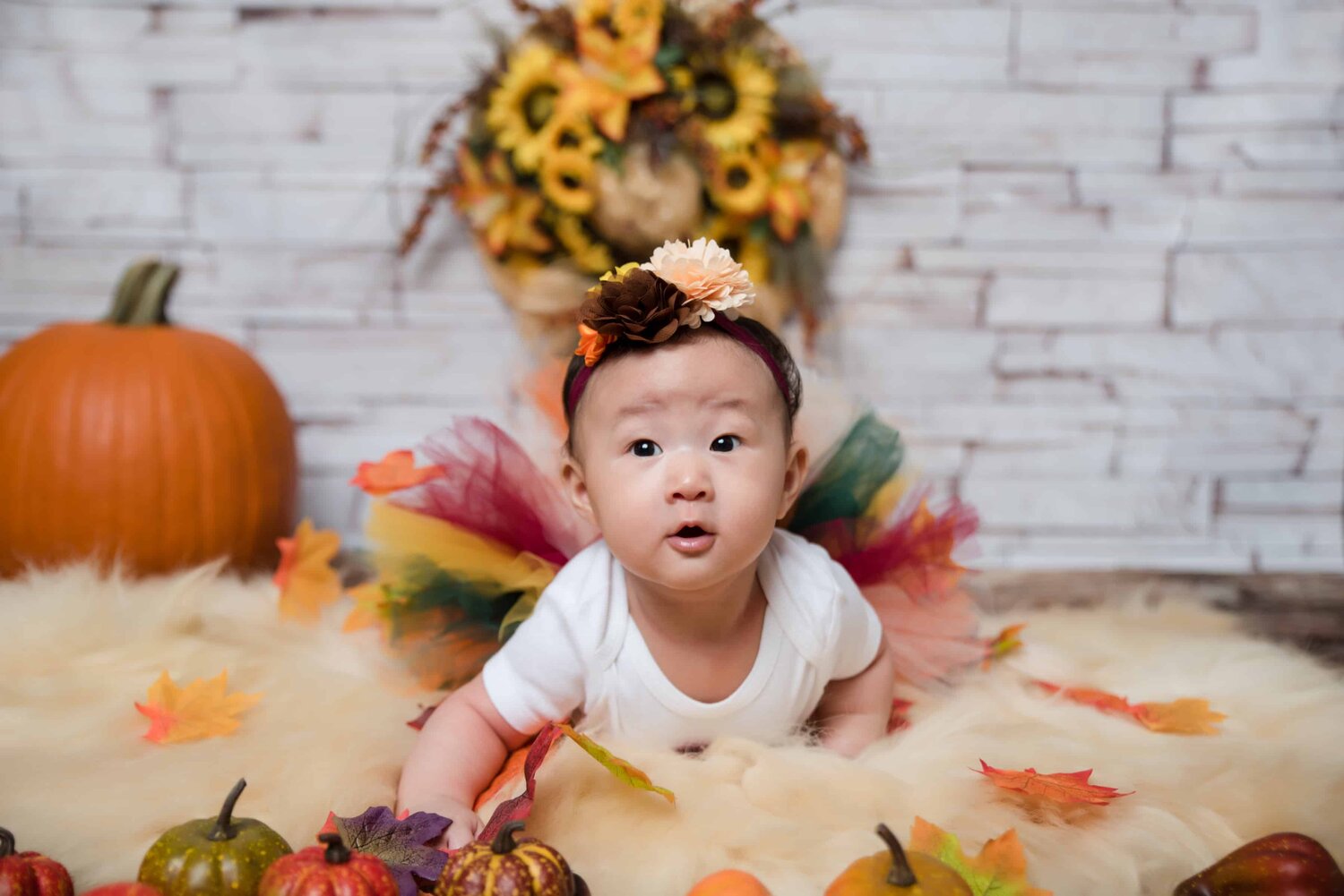 Autumn Thanksgiving Theme 100 Days Tutu Outfit