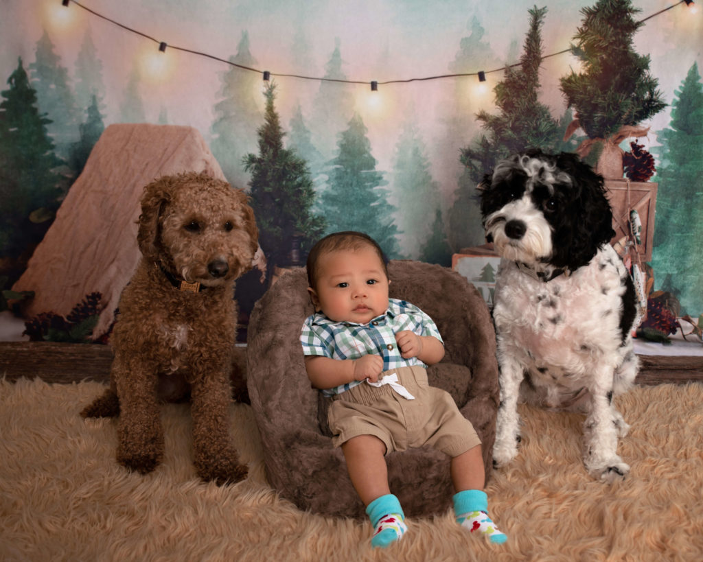 100 days baby camping with furry friends