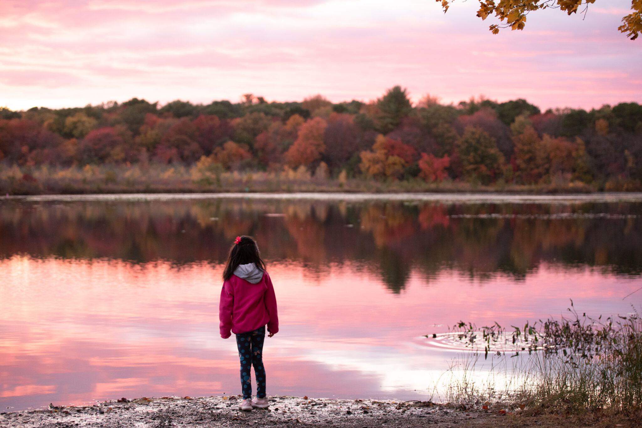 The Best Family Photo Locations in New Jersey MuSen